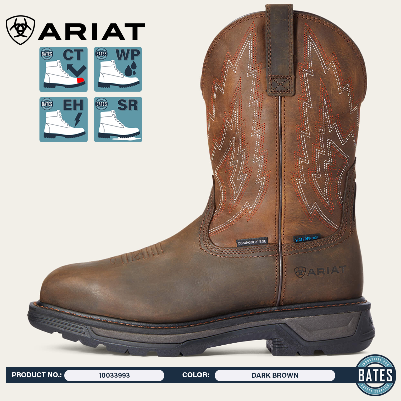 10033993 Ariat Men's BIG RIG WP/CT Work Boots